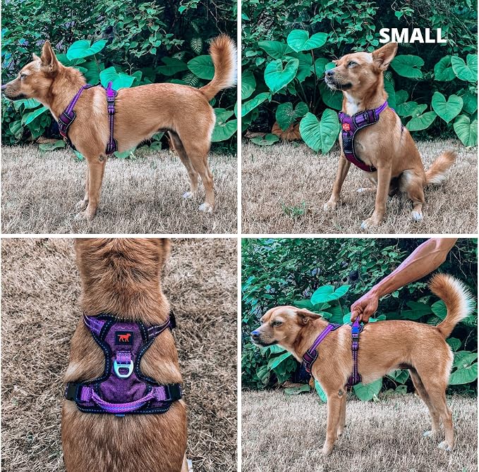 Tuff Pupper No Pull Easy Walk Dog Harness | Heavy Duty Pet Vest | Front & Back Leash Clips | Strong Safety Handle | Reflective Anti Pull Vest | Comfortable Padded Escape Proof Harness (Small, Purple)
