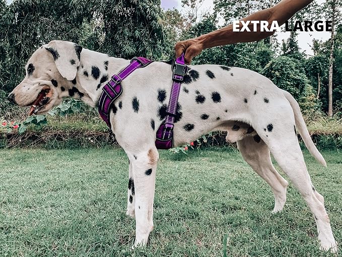Tuff Pupper No Pull Easy Walk Dog Harness | Heavy Duty Pet Vest | Front & Back Leash Clips | Strong Safety Handle | Reflective Anti Pull Vest | Comfortable Padded Escape Proof Harness(X-Large, Purple)