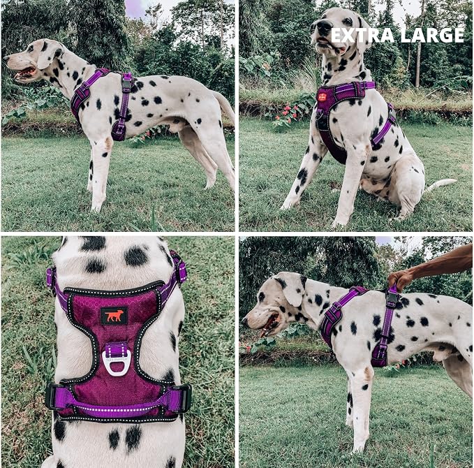 Tuff Pupper No Pull Easy Walk Dog Harness | Heavy Duty Pet Vest | Front & Back Leash Clips | Strong Safety Handle | Reflective Anti Pull Vest | Comfortable Padded Escape Proof Harness(X-Large, Purple)