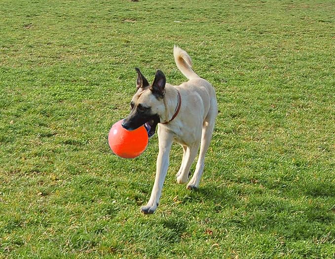 Jolly Pets Bounce-N-Play Ball