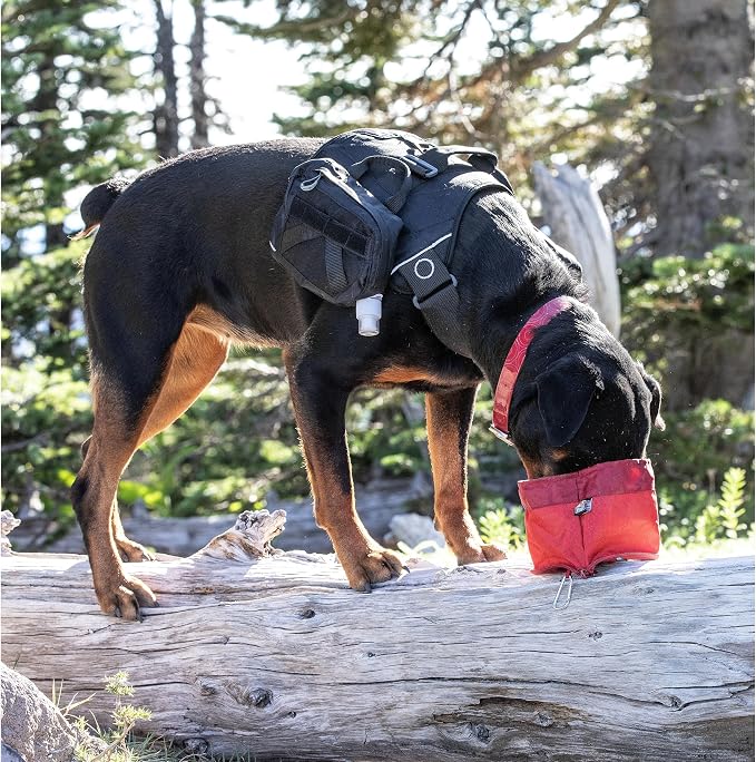 Kurgo Zippy Bowl for Dogs, Collapsible Travel Bowl, 48oz, Barn Red
