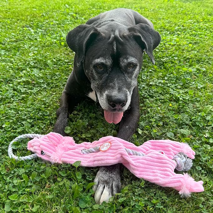 SPOT Skinneeez Barnyard Tug Dog Toy - Rope Design for Strong Chewers, Squeaker & Crinkle, Stuffing-Free, Tug Toy for Medium to Large Dogs & Puppies -23 inch, Style Varies