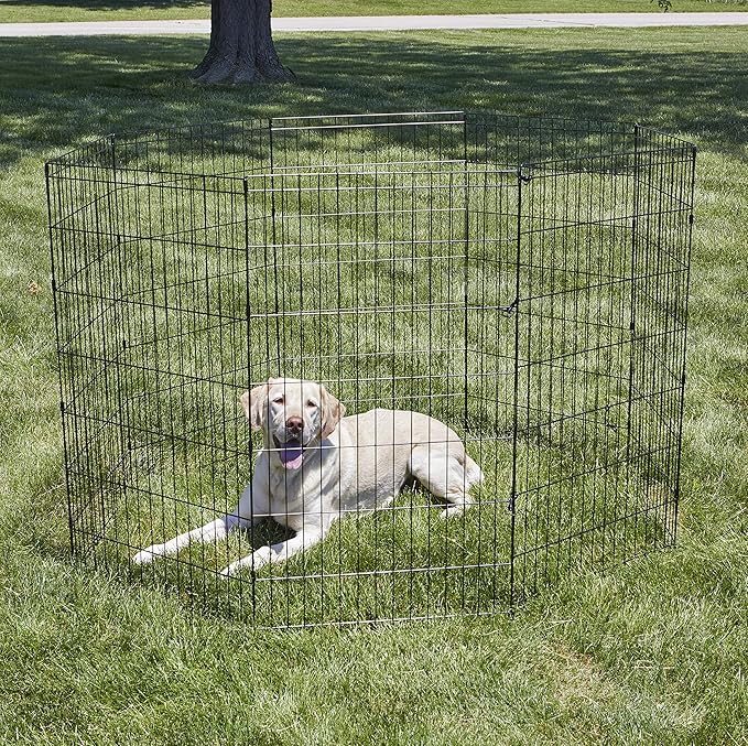 New World by MidWest Homes for Pets 42-Inch Exercise Pen, for Indoor and Outdoor use, 16 Sq Feet of Play, Folding Dog Pen, No Door Design for Maximum Security, Easy to Set Up, Foldable Pet Playpen
