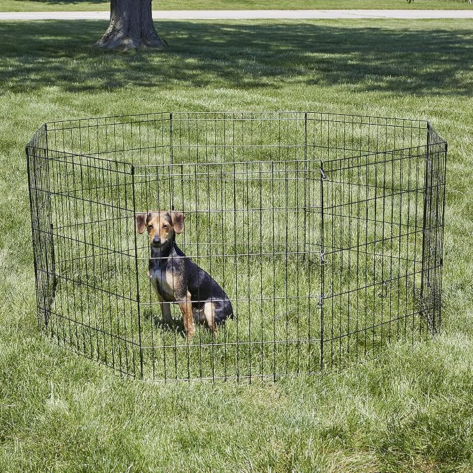 New World by MidWest Homes for Pets 30-Inch Exercise Pen, for Indoor and Outdoor use, 16 Sq Feet of Play, Folding Dog Pen, No Door Design for Maximum Security, Easy to Set Up, Foldable Pet Playpen