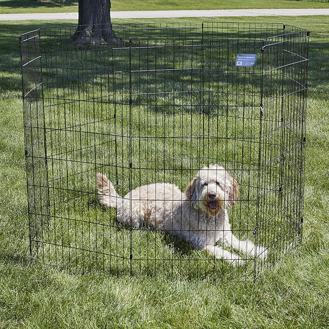 MidWest Homes for Pets 48-Inch Exercise Pen, for Indoor and Outdoor use, 16 Sq Feet of Play, Folding Dog Pen, No Door Design for Maximum Security, Easy to Set Up, Foldable Dog Playpen